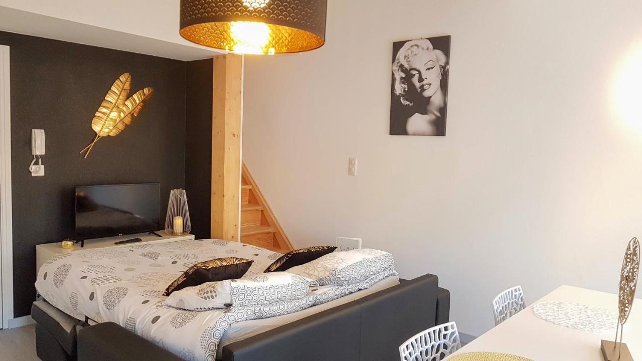 Le Puy-en-Velay Les Nuits D'Anis - Appartements Hypercentre מראה חיצוני תמונה