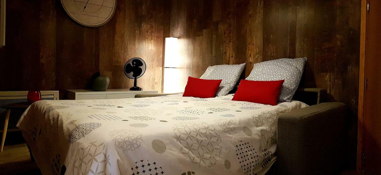 Le Puy-en-Velay Les Nuits D'Anis - Appartements Hypercentre מראה חיצוני תמונה